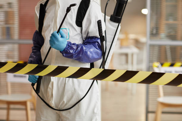 Professional Sewage Cleanup technician working in Bainbridge, OH
